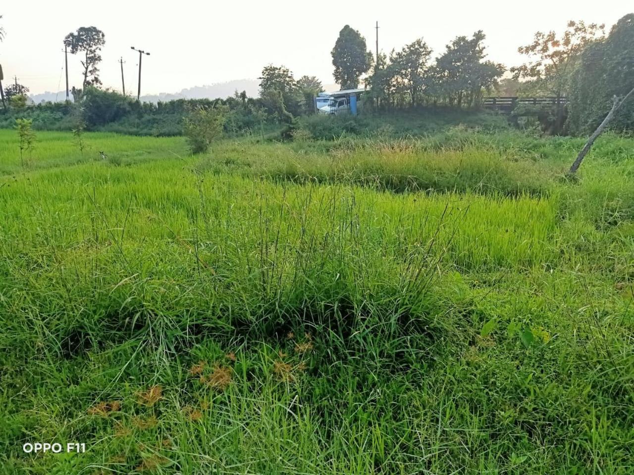 Samz Estate Stay 2Bhk Madikeri Exterior photo