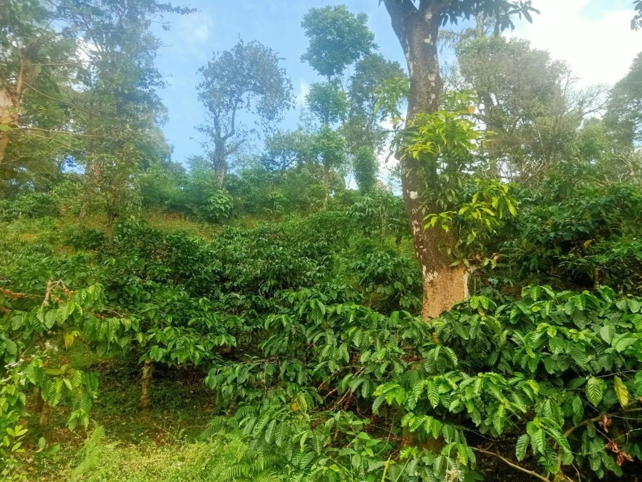 Samz Estate Stay 2Bhk Madikeri Exterior photo